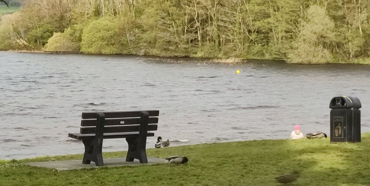 A photo of a bench by a lake, taken on the way to record Nóirín Ní Riain