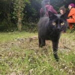 Bruixa came to say hi while the band exchanges notes in the garden